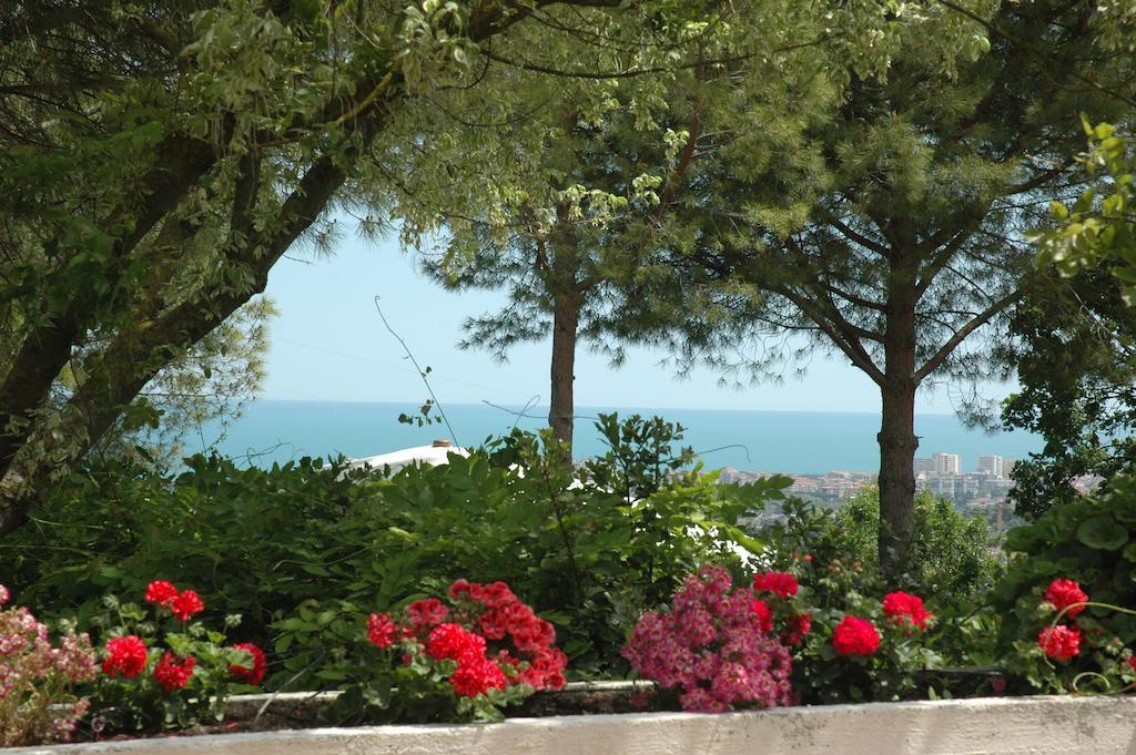 Colle Moro - B&B Villa Maria Città Sant'Angelo Esterno foto