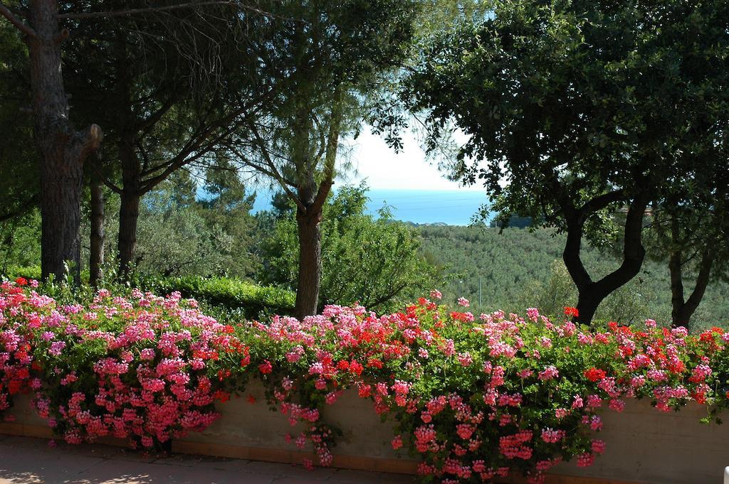 Colle Moro - B&B Villa Maria Città Sant'Angelo Esterno foto