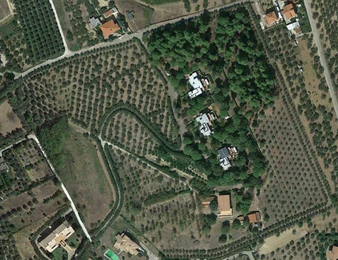 Colle Moro - B&B Villa Maria Città Sant'Angelo Esterno foto